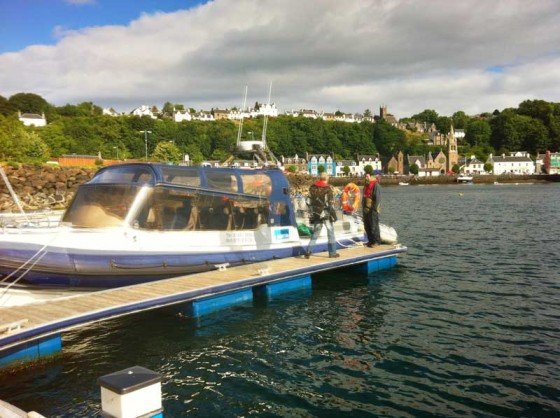 Tobermory-560x418