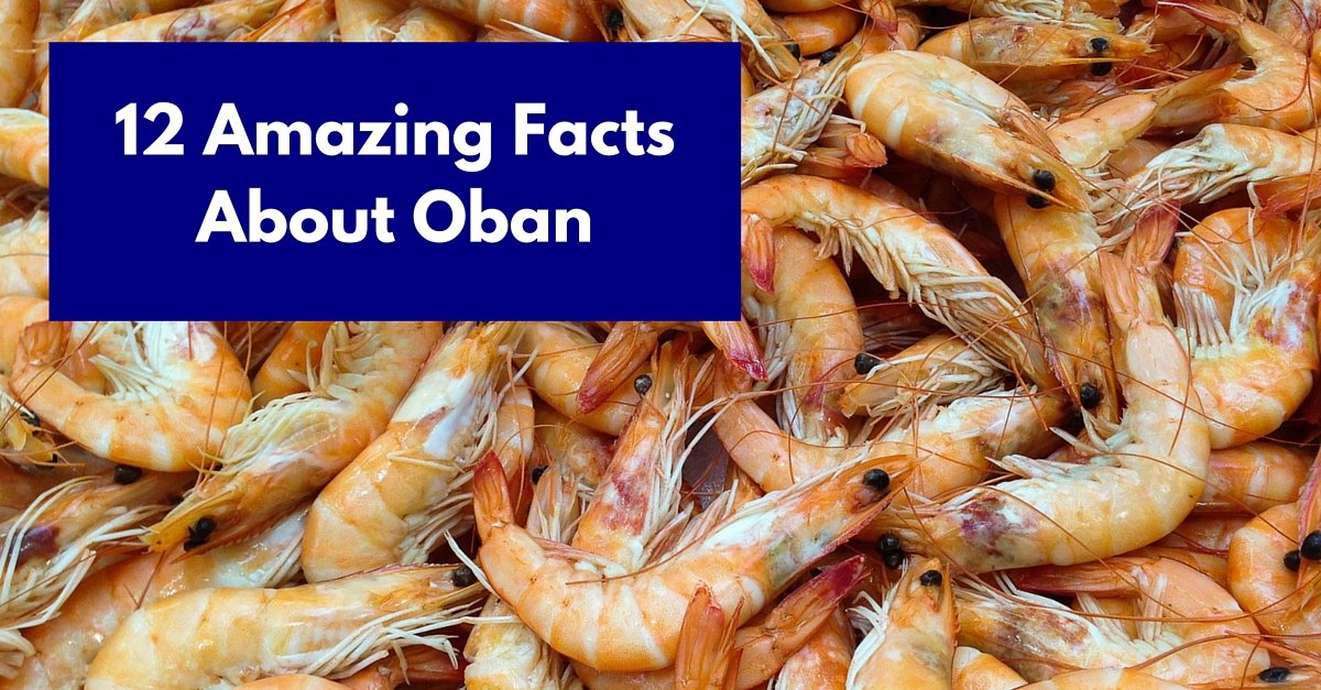 12 Amazing Facts About Oban