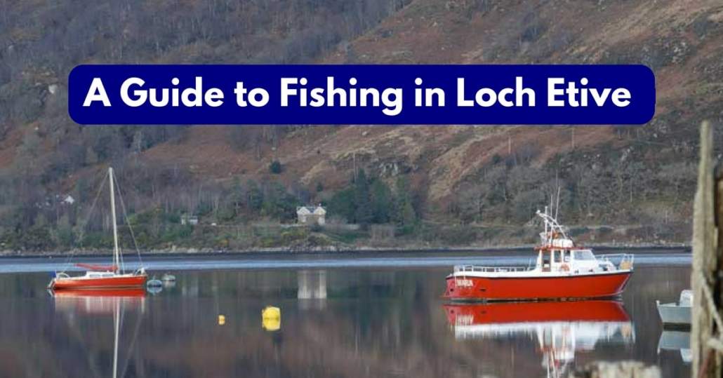 A Guide to Fishing in Loch Etive